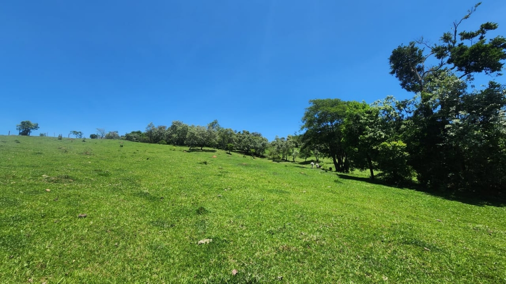 Nazaré Paulista / SP